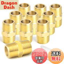 TAILONZ PNEUMATIC 10箇PT 1/4-1/4黄銅外ねじ管継手、六角継手でアダプタです