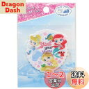 【送料無料】Pioneer パイオニア ディズニー ワッペン プリンセス シール&アイロン接着 1枚入り 縦55mm×横55mm MY6501-MY479