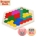 SANJAOYEE 木製テトリスパズル 木製パズル 6歳 7歳 色と形で図形感覚を育てる カレンダーパズル 12PCS 小学生 女の子 男の子 子供 パズル 誕...