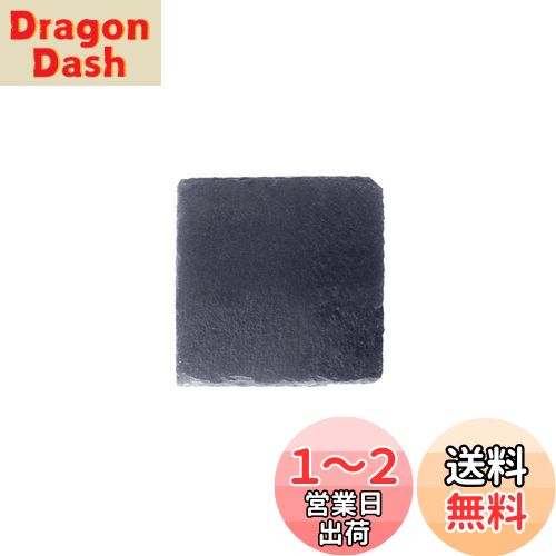 OMEM (Pack of 10, 10パック) 爬虫類の岩 床材 飼育ケースライナー 亀乾燥ボード フードプレート 爪を磨くために使用 (S)