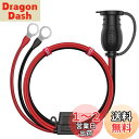 Iarlion ヒューズ付き シガーソケット延長ケーブル 車両延長コード バッテリーから電源を取るのに便利 3M 超長 絶縁性よく&耐熱&腐蝕耐え 安全安心使用...
