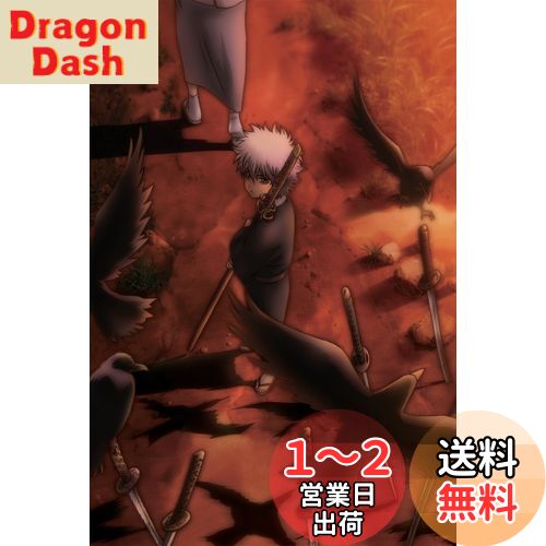 銀魂 シーズン其ノ四 8 [DVD]