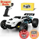 Tecnock ラジコンカー 子供向け ラジコン Type-C USB充電 おもちゃ 車 オフロード 2.4Ghz RCカー 誕生日 プレゼント (ホワイト(ライトなし))