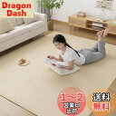 Zdeysun カーペット ラグ ラグマット滑り止め付 洗える 200×300cm 約4.5畳 絨毯 防ダニ 抗菌 防臭 オールシーズン快適に使用 床暖房 ホッ...