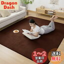 Zdeysun カーペット ラグ ラグマット滑り止め付 洗える 200×300cm 約4.5畳 絨毯 防ダニ 抗菌 防臭 オールシーズン快適に使用 床暖房 ホッ...