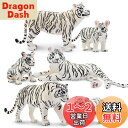 TOYMANY 6PCSホワイトタイガーフィギュア 動物フィギュア トラフィギュアセット 野生動物フィギュア 動物モデル 親子 家庭 リアルな動物模型 人気動物...