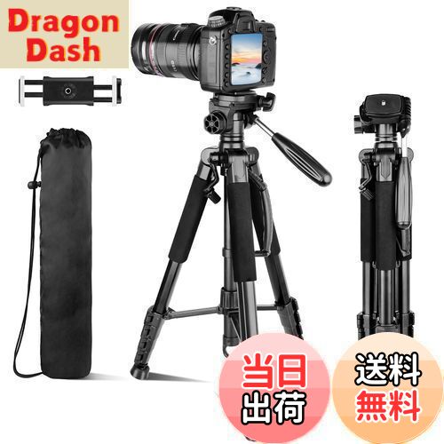 【送料無料】Aureday 190c