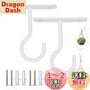 5WYOUKE 天井 フック 吊り下げ金具 J字 吊りフック 耐荷重約15kg 長さ6.4cm 石膏ボード 壁掛け ピンフック 穴が目立たない 照明器具配線 画...