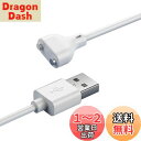 YFFSFDC 磁気充電ケーブル マグネット USB充電ケーブル 急速充電 安定 磁気吸着 チャージャーケーブル 洗顔ブラシ バイブアタッチメント ハンディマッサージャー 対応 (2ピン間の距離6mm)
