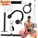 aleawol プーリーケーブルマシン 上腕三頭筋トレーナー LAT ラットプルダウン ケーブル トレーニング 機器 男女兼用 プロフェッショナル 筋肉強化 フィットネス器具 上腕三頭筋プルダウン 上腕二頭筋カール 背面 前腕部 肩 ジム ホームユース用