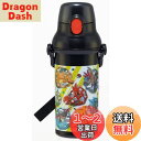 スケーター(Skater) 水筒 480ml ポケットモンスター 23 子供用 抗菌 プラスチック製 男の子 日本製 PSB5SANAG-A