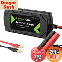 RoyPowリン酸鉄リチウムイオンバッテリー充電器 14.4V10A バッテリーチャージャー トリクルチャージ バッテリー活性化LEDランプ 逆接続&ショート&過電圧&過電流保護'