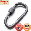 TITECOUGO アウトドア カラビナ おしゃれ 登山 小型 アルミ Dフック 頑丈 ネジロック バンジーコード ブランコ hammocks テント ?キャン...