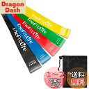 TheFitLife トレーニングチューブ 筋トレチューブ フィットネスチューブ (黄/緑/赤/青/黒)
