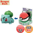 タカラトミー 『 ポケットモンスター ポケモンくるりんぬいぐるみ フシギダネ 』 おもちゃ 3歳以上 玩具安全基準合格 STマーク認証 Pokemon TAKA...