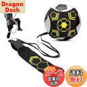 RICISUNG サッカー トレーナー 練習キット 練習用ベルト トレーニングベルト サッカーキックトレーナー ファミリースポーツ ボール自主練用 調節可能 子供用 サッカー