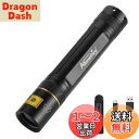 Alonefire SV003 10W 365nm 紫外線 ブラックライト 強力 UV LED ライト ポータブル USB充電式 アニサキスライト ウッド灯検査 ペット用尿検出器 レジン硬化 釣り 鑑定 真贋用 アルミニウムケース、充電器、リチウム電池 付き