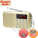 LEFON 充電式 多機能 AM FMポケットラジオ USB.microSDカード対応 MP3プレーヤー LEDライト ポータブルラジオ (金色)