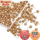 YOUOWO 画鋲 木製 100本 丸頭 押しピン マップ留め具 装飾釘 ラウンドヘッド スチールニードル 文書 マップ 写真 固定 用 おしゃれ 可愛い 収納ケース付き(3)