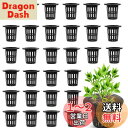 LEACAGR 水耕栽培鉢 30個セット 定植かご プラスチックメッシュポット 植物育成カップ 水耕栽培ポット 園芸 庭園 ガーデンニング 苗運搬 植物栽培 有機栽培 水培養 定植育苗かご (ブラック)