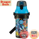 スケーター(Skater) 水筒 480ml ポケットモンスター 24 子供用 抗菌 プラスチック製 子供に優しい 軽量 日本製 PSB5SANAG-A