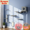 DoubleTT キャットウォーク 6つセット 猫用 キャットステップ 壁掛け式 DIY キャットタワー 猫家具 棚 猫ハウス ハンモック はしご 吊り橋 爪と...