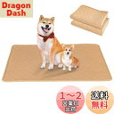 【送料無料】洗えるペットシーツ Toyuxe ペットシーツ 洗える 2枚セット 滑り止め 犬シーツワイド おしっこシート ペット ペットシーツ 消臭 ペット シーツ 洗える 丸ごと洗える 下敷きマット 四重構造 漏れ防止 速乾 滑り止め 中型 大型 犬・猫 犬用 おしっこパッド 丸ごと|詳細画像