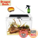 Reptile Growth 爬虫類 ケージ 透明 爬虫類ケージ 飼育容器 小動物用 カメ亀 タンク 両生類用飼育ケース 飼育ボックス 31*19*24cm, カメ、クモ、カエル、ゲッコ、カマキリ、ヘビ、サソリ、庵クラブ