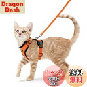 Rabbitgoo 猫 ハーネス リード セット 抜けない 猫用ハーネス ソフト胸あて 軽量 足を上げず装着完成 サイズ調節可 夜反射 通気メッシュ 咳込み防止...