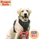 Rabbitgoo 犬 ハーネス 大型犬 20-32KG ソフト かわいい 犬用胴輪 引っ張り防止 負担が少ない首輪 サイズ調整可 夜間反射 抜けない 通気性 咳き込み防止 散歩 歩行補助 老犬介護 しつけ 運動向き 犬 小型犬 中型犬 柴犬 秋田犬 (黒)