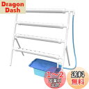 LAPOND 水耕栽培キット 室内水耕栽培 中型水耕栽セット 野菜栽培セット タイマー/自動施肥/給水 循環式ポンプ LEDライトで栽培可能 家庭菜園 ベランダ 日本語説明書付き(片面4チューブ 36 穴)