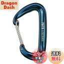 TITECOUGO カラビナ 12Kn 登山用 大 カナビラ Dd リング 工具用 1T スリング ハンモック ベルト ポーチ 道具 釣り 中 付 作業台 金具 ガジェット サイドバッグ ハンモックベルト アクセサリーホルダー 登山釦 ピーコックブルー 2個