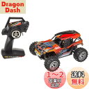 RC1/16スケール マッドスタイルシリーズ リザード