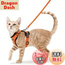 Rabbitgoo 猫 ハーネス リード セット 犬猫兼用 超小型犬 小型犬 抜けない ソフト胸あて 軽量 足を上げず装着完成 サイズ調節可 夜反射 通気メッシ...