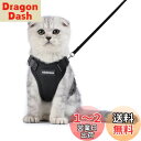 Rabbitgoo 猫 ハーネス リード セット 小型犬 犬猫兼用 抜けない はーねす ソフト胸あて 軽量 足を上げず装着完成 サイズ調節可 ネコ 散歩 紐 夜反射 通気メッシュ 咳込み防止 胴輪 ベスト りーど(黒 XSサイズ)