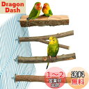 4点セット入り 鳥 止まり木 止まり台 爪を磨くりんごの木 自然木 噛むおもちゃ 爪を研ぎ パーチ インコ オウム 鳥 文鳥 セキセイインコ オカメインコ おやすみボード 遊び道具 ケージアクセサリー 取り付け簡単 オウムスタンド ペット遊び場 バランス練習 小さなペット用