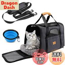 Morpilot ペットキャリー バッグ 4way ショルダー 中・大型猫・小型犬・うさぎ用 リュック 折りたたみ 変形しない 通気性 臭気がない 引っ掻き傷に強い 車載/ドライブ/キャンピング/旅行/通院/災害避難用 ペットバッグ (マット/飛び出し防止リード/猫食器付き) Mサイズ