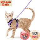 Rabbitgoo 猫 ハーネス リード セット 抜けない ソフト胸あて 軽量 超小型犬 小型犬 猫 散歩 用 ハーネス 胴輪 足を上げず装着完成 サイズ調節可 夜反射 通気メッシュ 咳込み防止 猫 散歩 紐 ひも はーねす りーど(ライトパープル XS NEW)