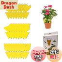 【送料無料】捕虫シート、防虫シート、粘着シート、粘着性、防虫用品、24枚セット 、害虫トラップ粘着紙-黄色、粘着トラップ、防虫トラップ、トラップ粘着シート、無臭...