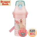 スケーター(Skater) 水筒 480ml プリンセス 23 子供用 女の子 抗菌 プラスチック製 日本製 PSB5SANAG-A