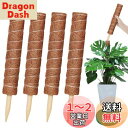 【送料無料】YOUSHY4個40cm園芸支柱 観葉植物モンステラ 支柱 ヘゴ支柱つる性植物 観葉植物 ココスティック支柱 植物サポートフラワースタンド ココナッ...