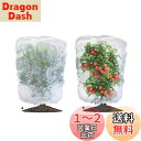 【送料無料】LIANHATA 防虫ネット 2個セット 植物保護カバー メッシュ巾着式 防鳥ネット 虫よけカバー 野菜網 鳥対策 通気性 虫鳥除け網 鉢植え用 野菜栽培 菜園プランター用 (80*80cm)