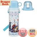 スケーター(Skater) 子供用 2way ステンレス 水筒 直飲み 580ml コップ飲み 570ml ディズニー アナと雪の女王 24 子供に優しい軽量タ...