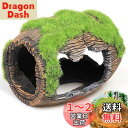 PAVIKE 水槽 隠れ家 ウーパールーパー メダカ 魚 エビ隠れ家 苔むしたワイン樽 水槽 レイアウト アクアリウム 水槽 オブジェ 小さい オーナメント 水槽 装飾 小型 置物 飾り 玩具 水槽 オブジェ キャラクター 小さい ジブリ 水槽 オブジェ