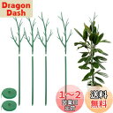 【Charming Club】園芸支柱 モンステラ 支柱 観葉植物 植物サポート モンステラフラワースタンド 花支架 ガーデニング支柱 長期間使用 農業用 園芸...