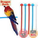 PAVIKE プラスチック鳥かご止まり木 オウム鳥立ちスティック とまり木 インコ 研削爪バー PP 小鳥用 止まり木 【5点セット】26.5cm 鳥止まり木セット 取り付け簡単 バランス練習 爪を磨く 遊び道具 鳥 爪研ぎ止まり台 鳥用パーチ 爪を研ぎ パーチ インコ オウム 鳥 オウ