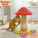 【送料無料】PAWZ Road キャットタワー ミニ 階段 猫 爪研ぎ キノコ 縦型 据え置き 全面麻紐 爪研ぎポール タマゴタケ しめじ 省スペース コンパクト 天然サイザル麻 おもちゃ ガリガリ おしゃれ 組立簡単 運動不足解消 高さ47cm 赤