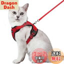Rabbitgoo 猫 ハーネス リード セット 抜けない 猫用ハーネス ソフト軽量 犬猫兼用 超小型犬 小型犬 散歩 災害避難 はーねす りーど 足を上げず装...