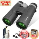 【送料無料】UBeesize 双眼鏡 10倍42x12 HD高倍率 42mm口径【視覚体験へのこだわり】防振 Bak4搭載 FMC 本格的 高透過率 ライブ/コンサート/野鳥観賞/オーペア/観劇/スポーツ観戦/天体観測/登山など適用 酔いにくい 大口径 広角 ブラック