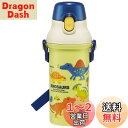 スケーター(Skater) 水筒 ディノサウルス ピクチャー 480ml 子供用 男の子 抗菌 プラスチック製 日本製 PSB5SANAG-A